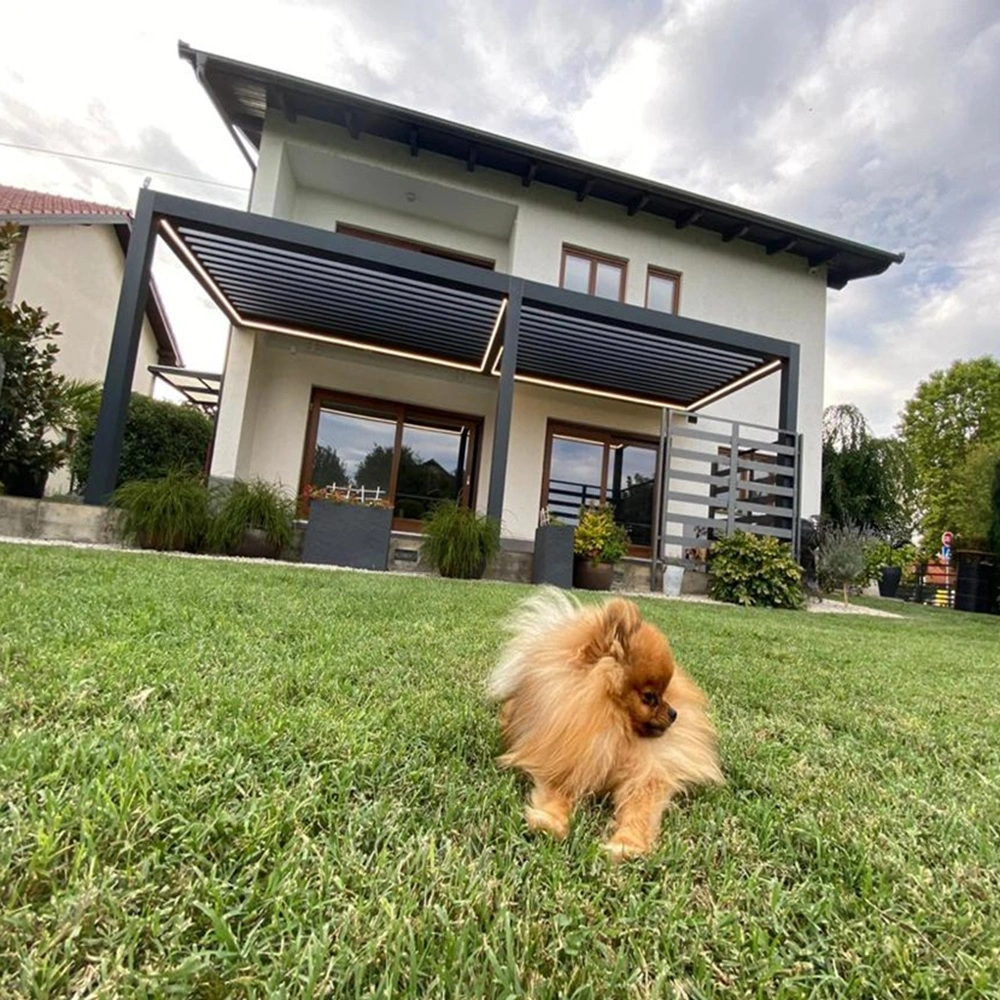 Lamellen overkapping Seesky bio bij een huis met een hond op het gras