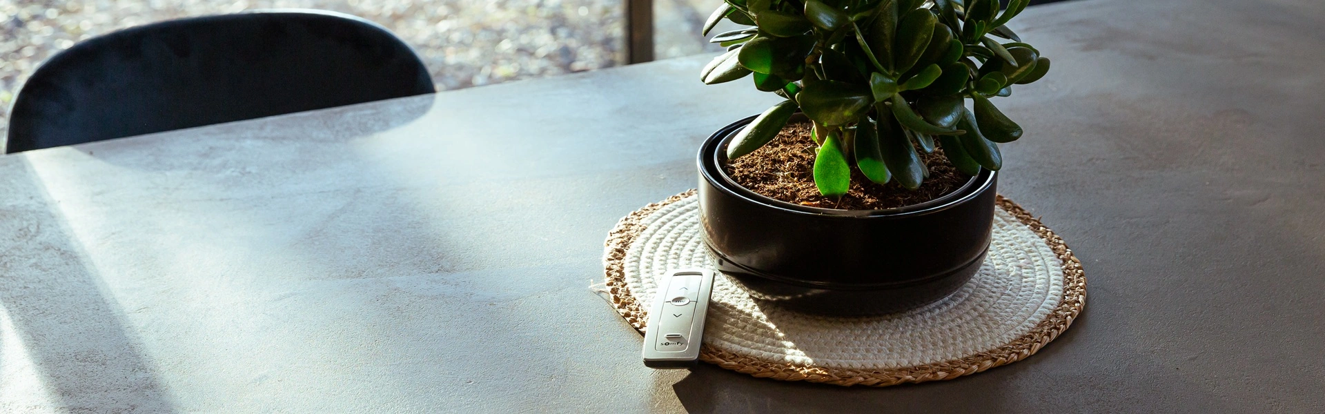 Somfy-afstandsbediening naast plant op eettafel met natuurlijke lichtinval