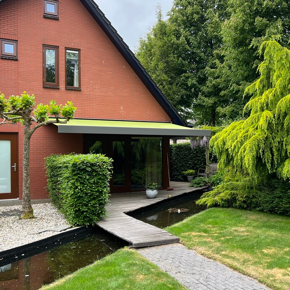 Groen Knikarmscherm in landelijke tuin in Friesland